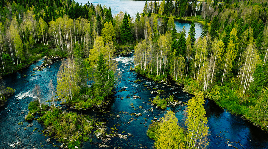 Illmakuva joesta metsäisessä Suomessa