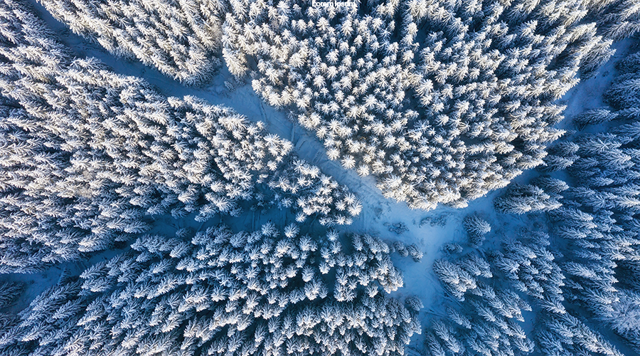 Ilmasto otettu kuva talvisesta metsästä ja tiestä Suomessa