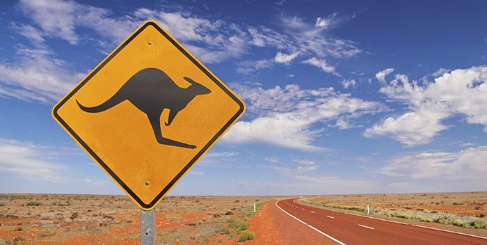 A traffic sign in Australien desert warning about kangaroos.