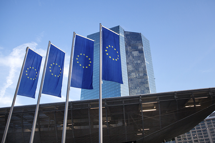 European Union flags