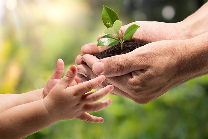 A decorative pictures of hands holding a plant.