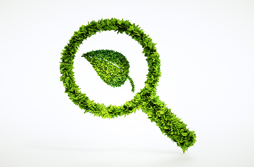 Decorative picture featuring a a green symbol of a leaf and a magnifying glass.