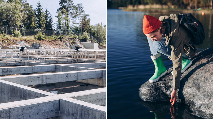 Decorative picture of a watering cleansing plant a a girl enjoying pure lake water..