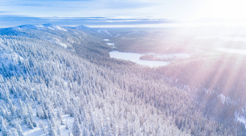 Aerial view of snowy forest in Finland
