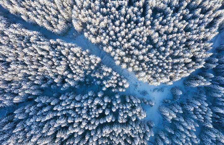 Aerial view on the road and forest at the winter time. Natural winter landscape from air. Forest under snow a the winter time. Landscape from drone