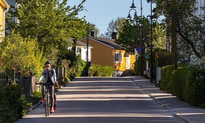 Kuvituskuva, jossa näkyy kesäinen tie ja sen varrella taloja.